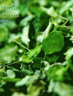 ͺ (Dried Moringa Leaves) 1 Kg