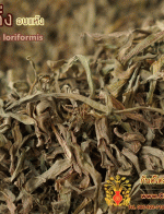 ˭һѡ ͺ (Dried Murdannia loriformis) 500g.