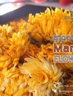 Ҵͧ͡ (Marigold Flower Tea) 100 g.