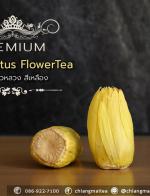 Ҵ͡ǧ  (͡) ͧ (Yellow Sacred Lotus Flower Tea Premium)