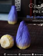 Ҵ͡ǧ  (͡) չԹ (Blue Sacred Lotus Flower Tea Premium)