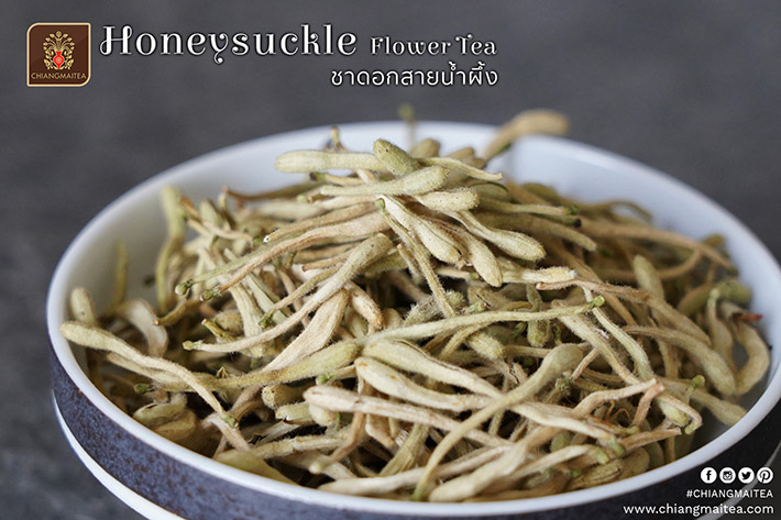 ٻҾ3 ͧԹ : Ҵ͡¹Ӽ Honeysuckle Flower Tea