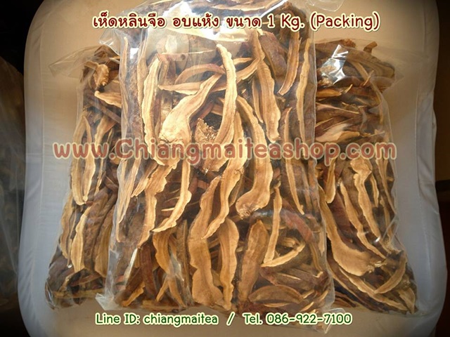 ٻҾ3 ͧԹ : Թͺ (Lingzhi Mushroom) 1 Kg.