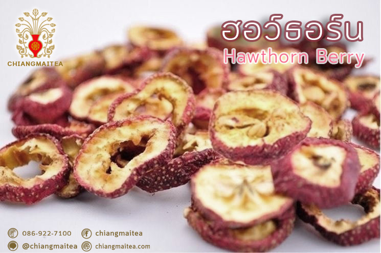 ٻҾ2 ͧԹ :   (Hawthorn Berry) 500 g.