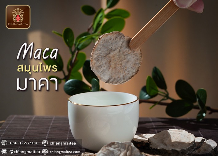รูปภาพที่2 ของสินค้า : มาคา อบแห้ง (Dried Maca Herbal Tea) 100 g.