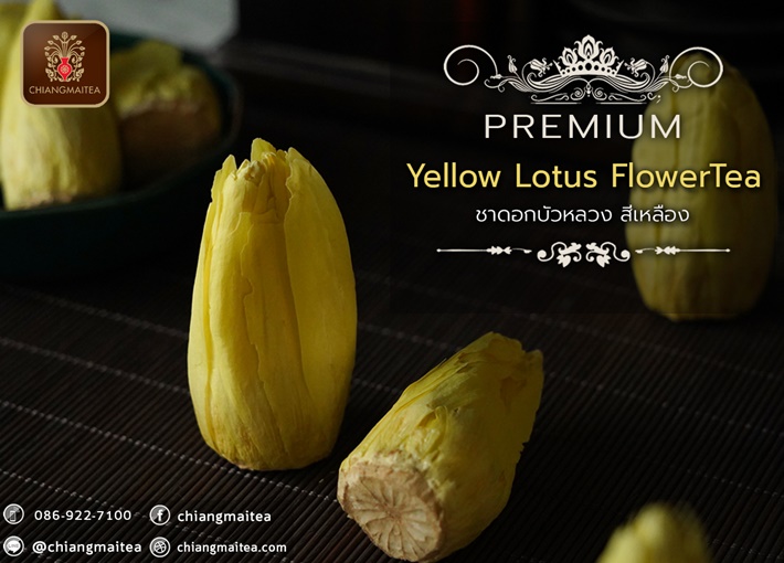 ٻҾ2 ͧԹ : Ҵ͡ǧ  (͡) ͧ (Yellow Sacred Lotus Flower Tea Premium)
