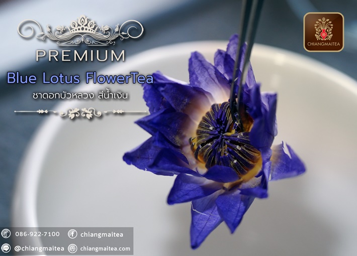 ٻҾ2 ͧԹ : Ҵ͡ǧ  (͡) չԹ (Blue Sacred Lotus Flower Tea Premium)