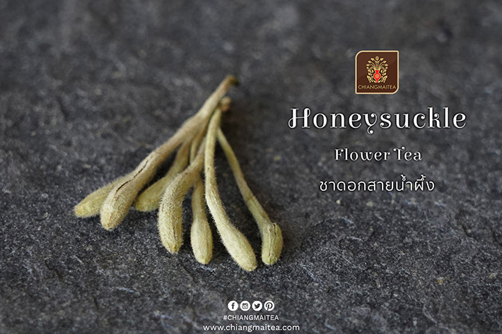 รูปภาพที่2 ของสินค้า : ชาดอกสายน้ำผึ้ง Honeysuckle Flower Tea