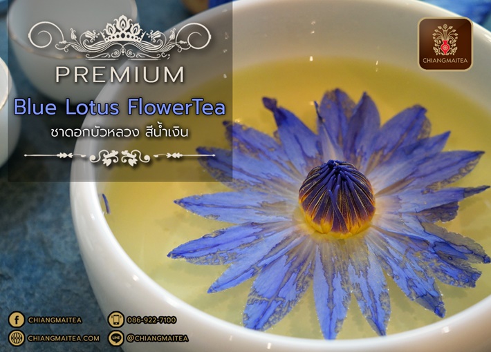 ٻҾ3 ͧԹ : Ҵ͡ǧ  (͡) չԹ (Blue Sacred Lotus Flower Tea Premium)