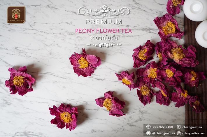 ٻҾ3 ͧԹ : Ҵ͡⺵  (Peony Flower Tea Premium) 