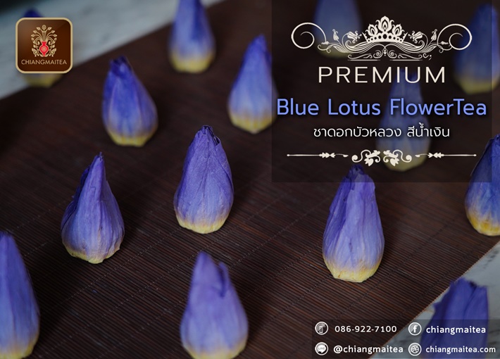 ٻҾ4 ͧԹ : Ҵ͡ǧ  (͡) չԹ (Blue Sacred Lotus Flower Tea Premium)